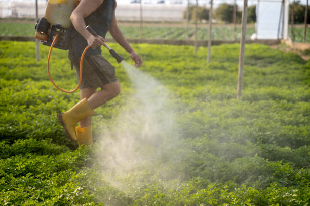 Best Exterminator Services  in Maud, TX