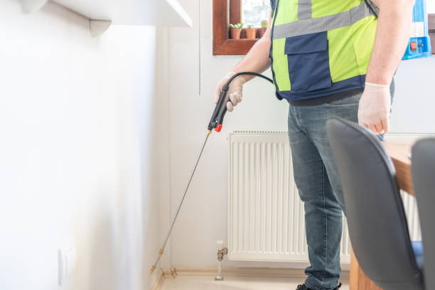 Best Wasp Removal Services  in Maud, TX