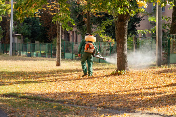 Best Pest Prevention Services  in Maud, TX